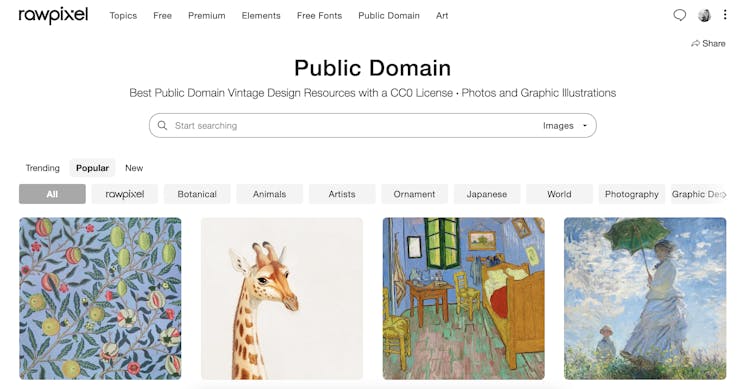 Free stock photos public domain